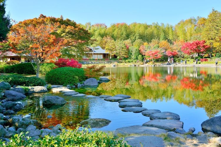 Tourist destination images of Showa Kinen Park (National Government Park)(2)