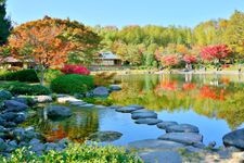 Tourist destination images of Showa Kinen Park (National Government Park)(2)