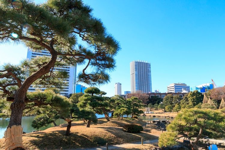 Kyu Shiba Rikyu Garden