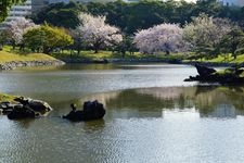 Tourist destination images of Hama-rikyu Gardens(4)