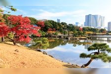 Tourist destination images of Hama-rikyu Gardens(6)