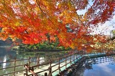 Tourist destination images of Koishikawa Korakuen Garden(4)