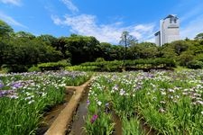 Tourist destination images of Koishikawa Korakuen Garden(6)