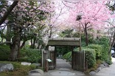 八芳園的觀光地圖片(2)