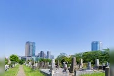 Tourist destination images of Aoyama Cemetery(3)