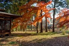 Tourist destination images of Former Iwasaki Residence Garden(5)