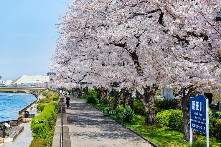 Sumida Park