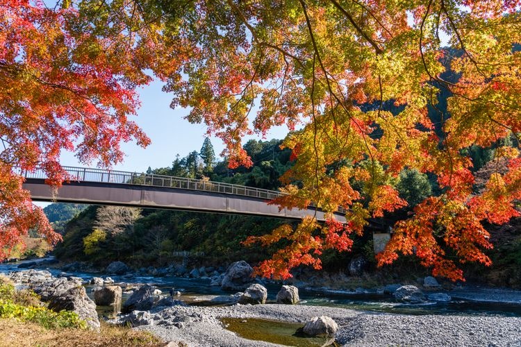 Tourist destination images of Mitake Gorge(2)