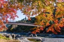 Tourist destination images of Mitake Gorge(2)