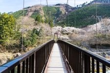 Tourist destination images of Mitake Gorge(3)