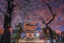 Tourist destination images of Ikegami Honmon-ji Temple(1)