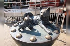 Tourist destination images of Suitengu Shrine(1)