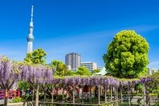 Tourist destination images of Kameido Tenjin Shrine(2)