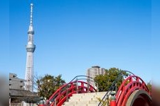 Tourist destination images of Kameido Tenjin Shrine(3)