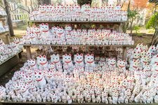 Tourist destination images of Daikiozan Gotokuji Temple(2)