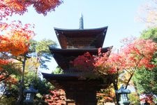 Tourist destination images of Daikiozan Gotokuji Temple(3)