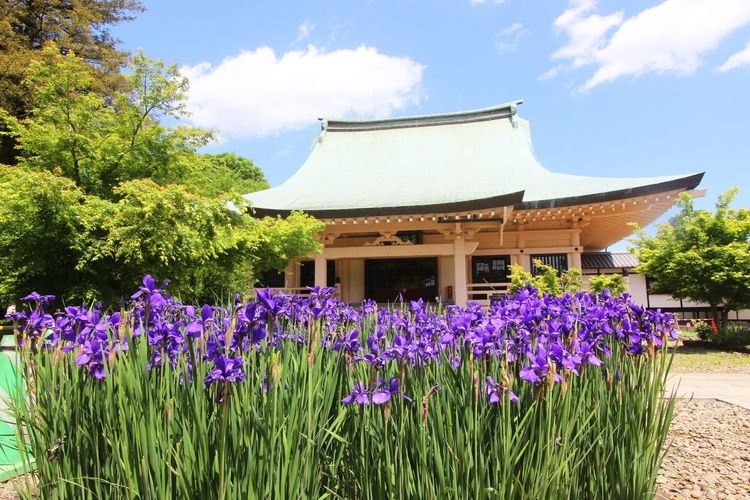 Tourist destination images of Daikiozan Gotokuji Temple(5)