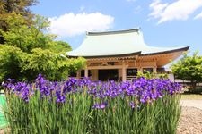 Tourist destination images of Daikiozan Gotokuji Temple(5)