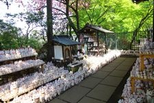 Tourist destination images of Daikiozan Gotokuji Temple(5)