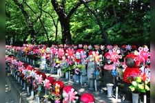 Tourist destination images of Zojoji Temple(3)