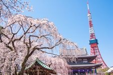 Tourist destination images of Zojoji Temple(2)