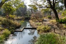 Tourist destination images of Mukojima Hyakuen Garden(5)