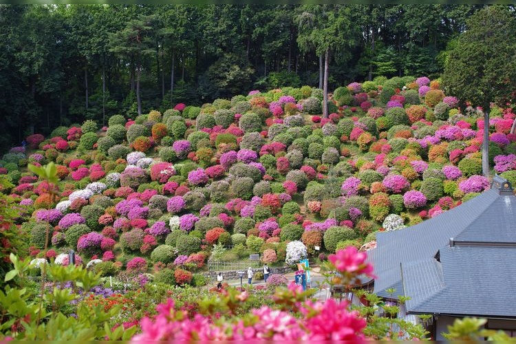 Shiofune Kannon-ji Temple