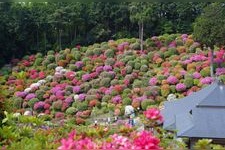 Tourist destination images of Shiofune Kannon-ji Temple(1)