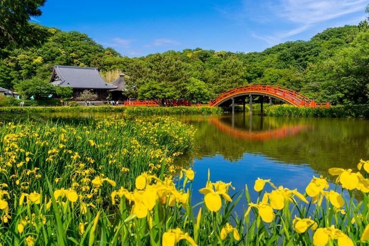 Tourist destination images of Shomyo-ji Temple(3)