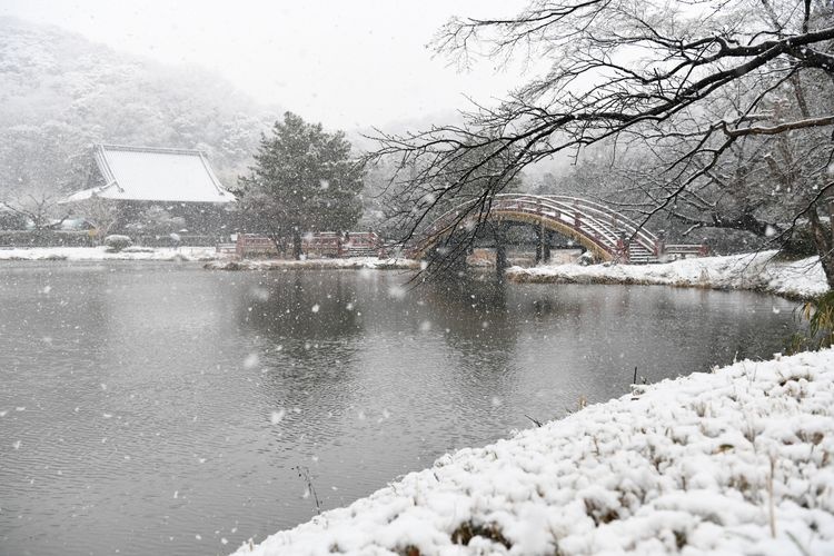Tourist destination images of Shomyo-ji Temple(2)