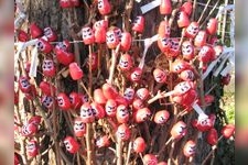 Tourist destination images of Shomyo-ji Temple(1)