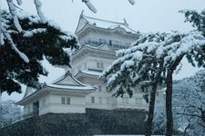 Tourist destination images of Odawara Castle(7)