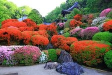 Tourist destination images of Shinkizan Tougokuin Temple(2)