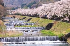 Tourist destination images of Miyagino Hayakawa Tei(2)