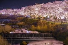 Tourist destination images of Miyagino Hayakawa Tei(3)