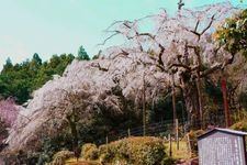 Tourist destination images of Chōkōzan Shaotaiji Temple(3)