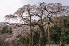 長興山紹太寺の観光地画像(4)