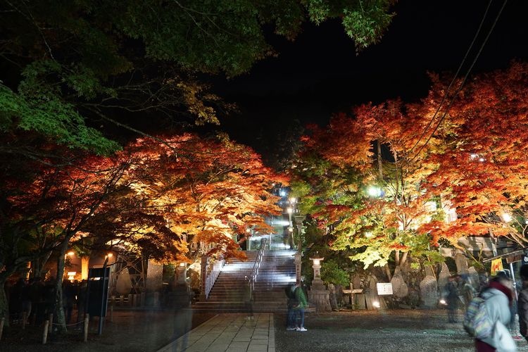 Santuario Oyama Afuri 3