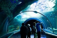 Tourist destination images of Niigata City Aquarium Marinepia Japan Sea(3)