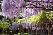 Tourist destination images of Hokuhou Bunka Museum(3)