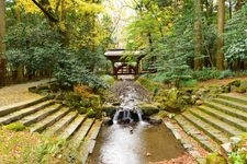 Tourist destination images of Yahiko Shrine(1)