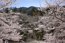 Tourist destination images of Yahiko Shrine(5)