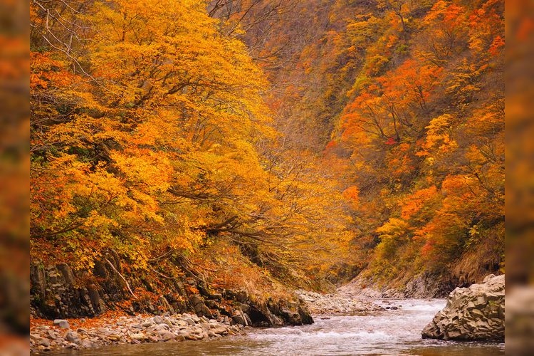 Kiyotsukyo Gorge