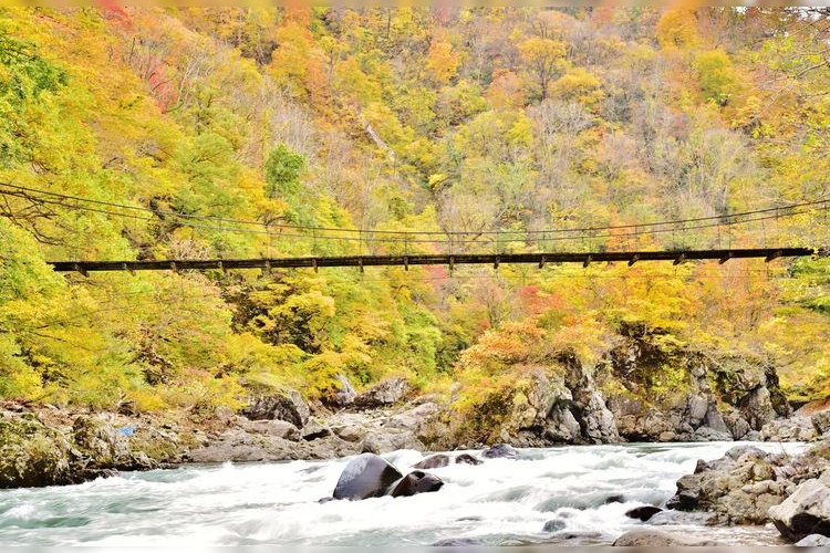 Mikura Bridge