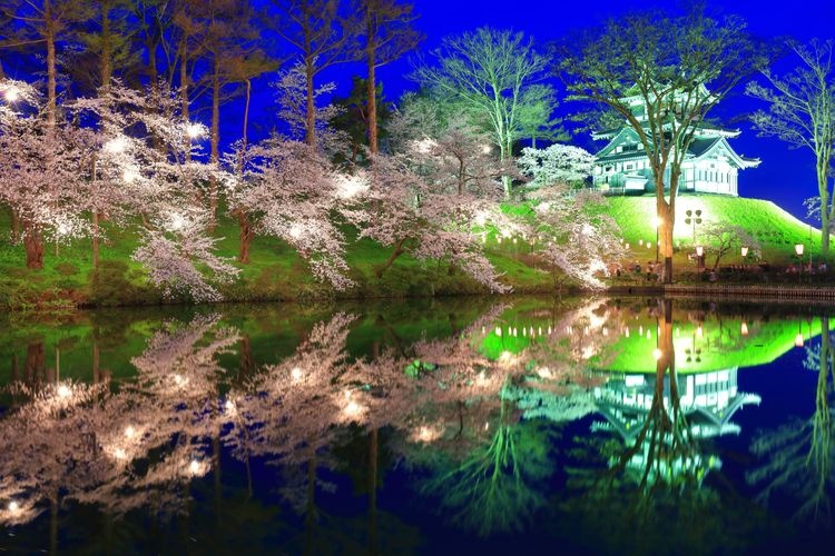 Tourist destination images of Takada Castle Ruins Park(3)