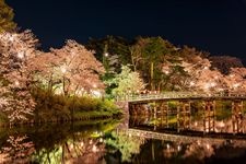 Tourist destination images of Takada Castle Ruins Park(2)