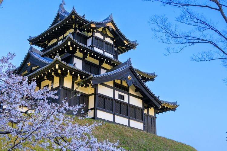 Tourist destination images of Takada Castle Ruins Park(4)