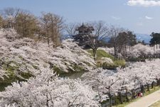 Tourist destination images of Takada Castle Ruins Park(6)