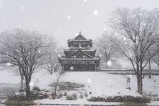 Tourist destination images of Takada Castle Ruins Park(8)