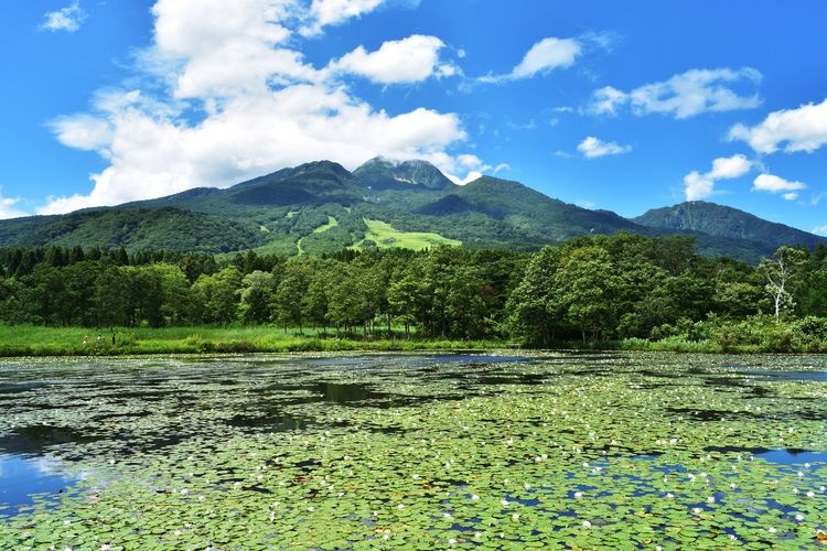 Imori Pond